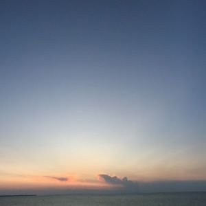 Meet your Posher, Theo